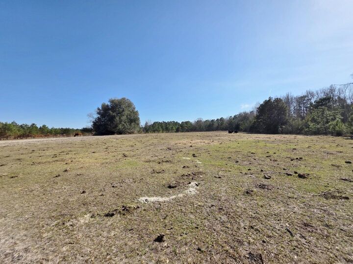 Property Photo:  0 Pompey Road  SC 29102 