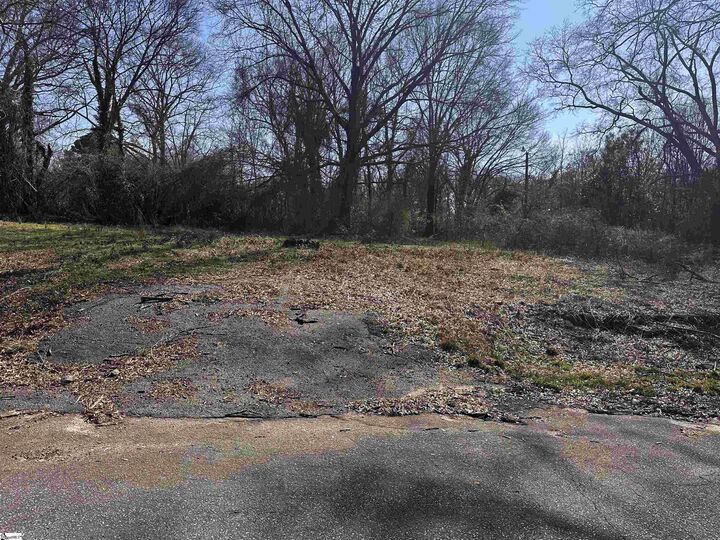 Property Photo:  Lot 14 Wenzick  SC 29625 