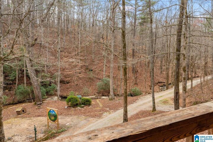 Property Photo:  227 County Road 71  AL 36264 