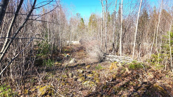 Property Photo: 10 Bowling Green Lane ME 04915