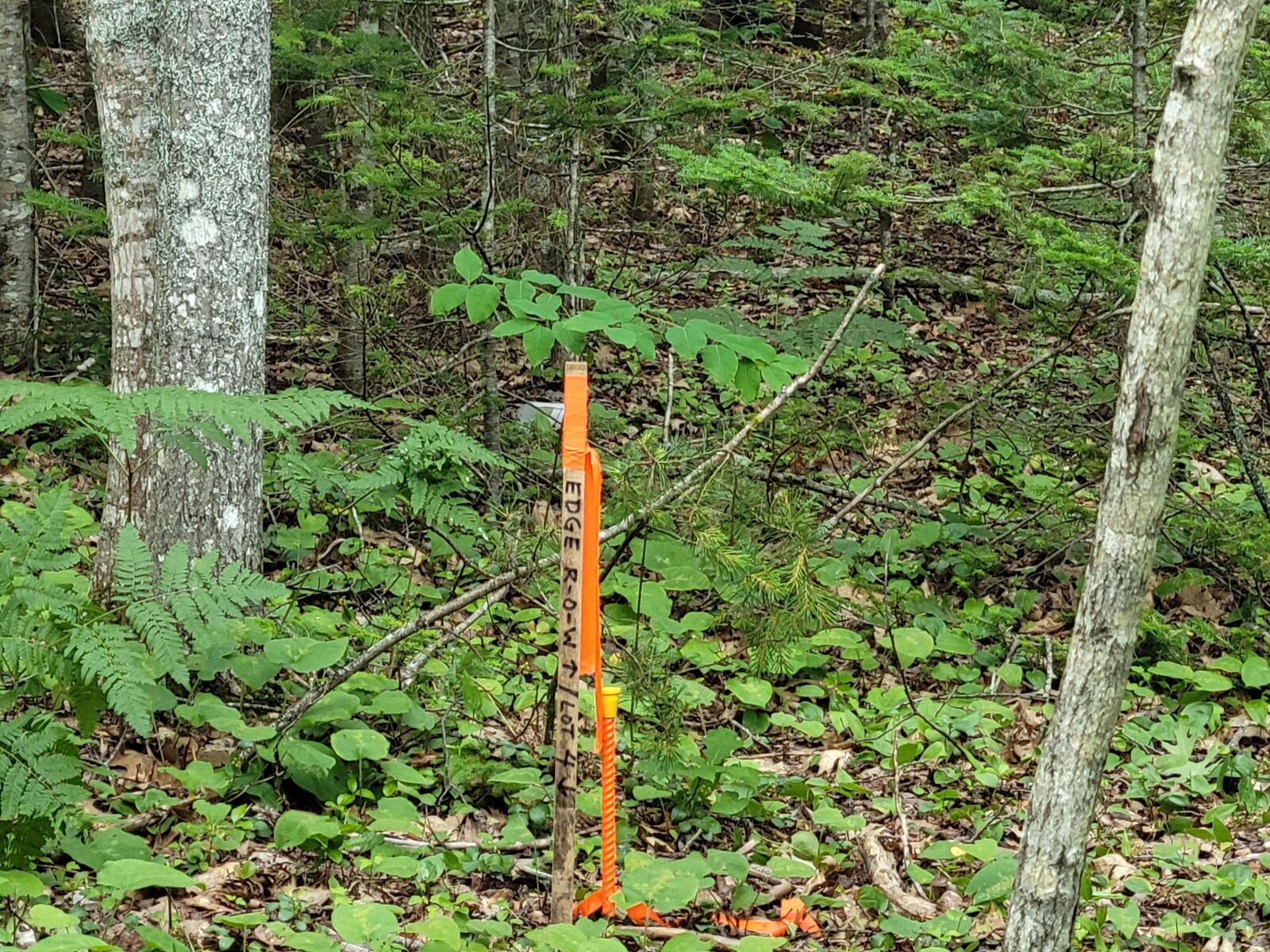 Property Photo:  12 Matty Way  ME 04634 