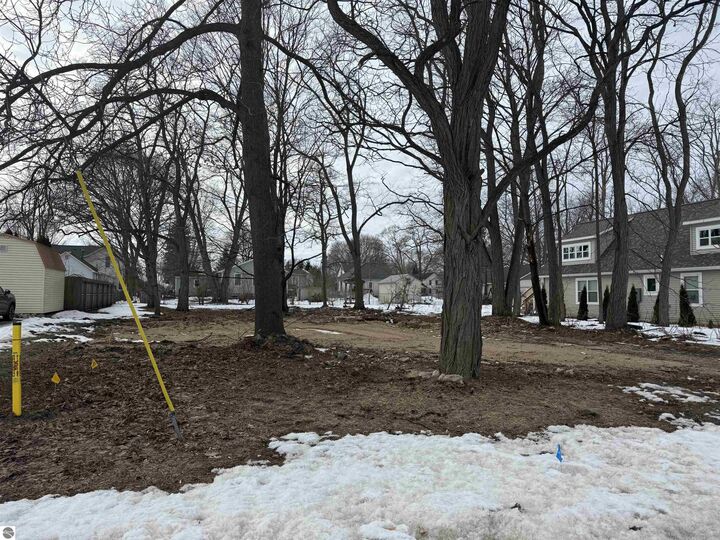 Property Photo:  142 Charles Street  MI 49629 