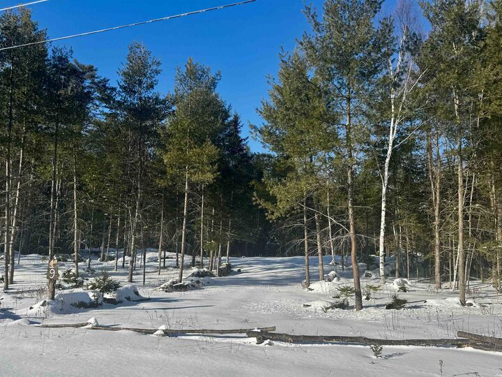 Property Photo:  19 Lodge Lane  NH 03785 