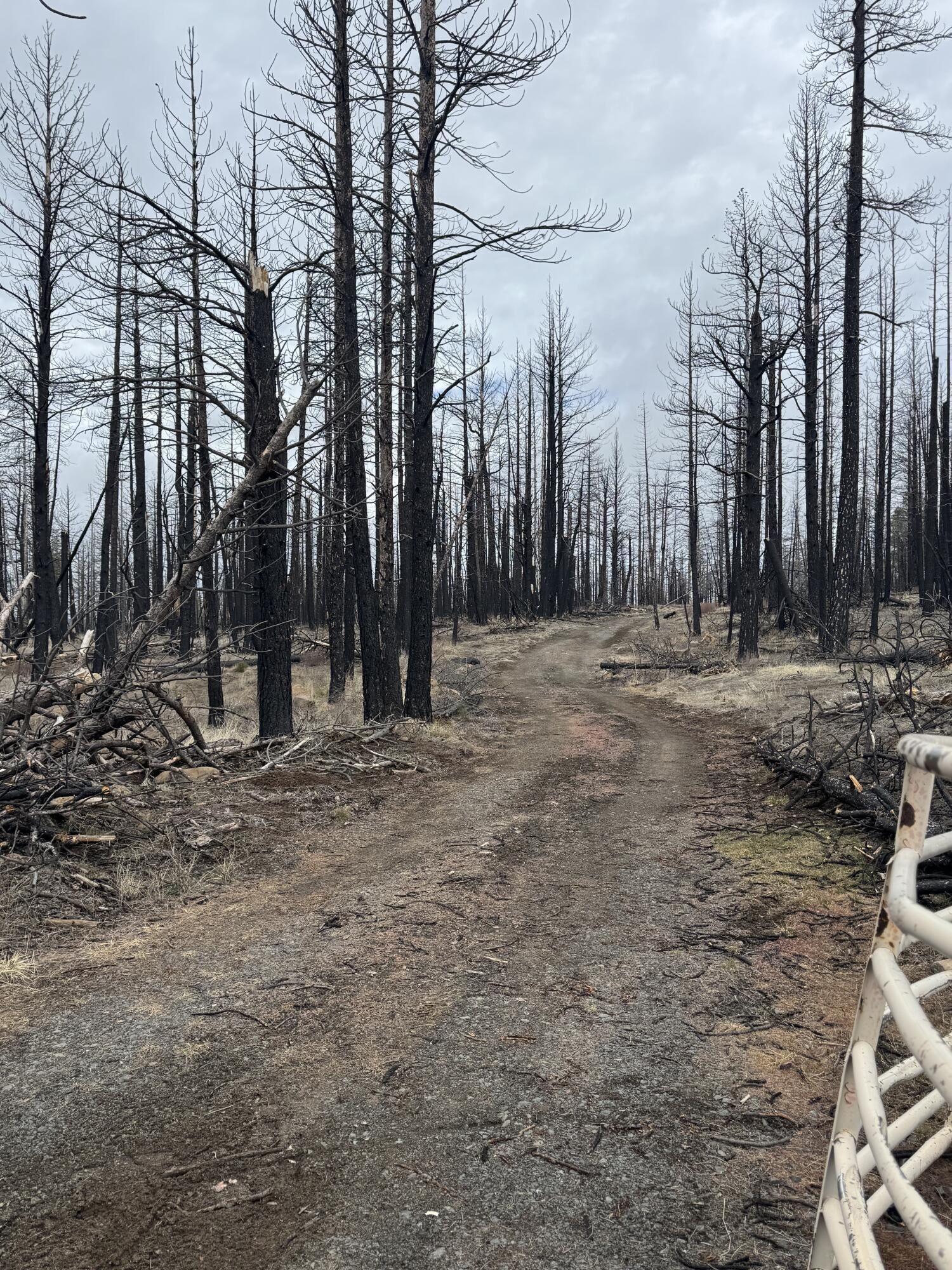 Property Photo:  1100 Yellow Pine Road  OR 97622 