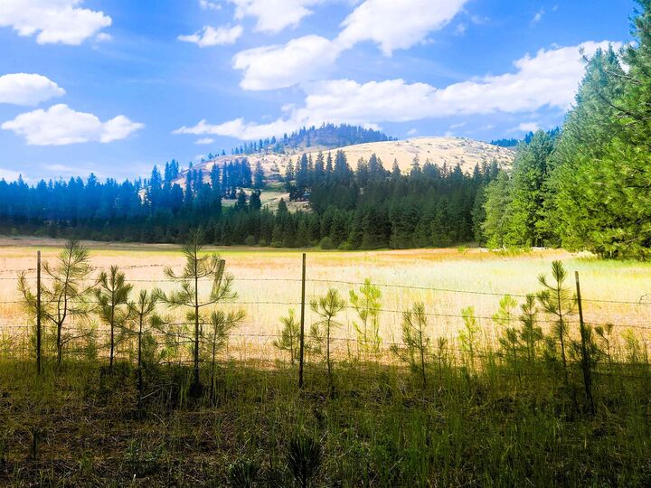 Property Photo: 34xx Northport Flat Creek Rd WA 99141-9998