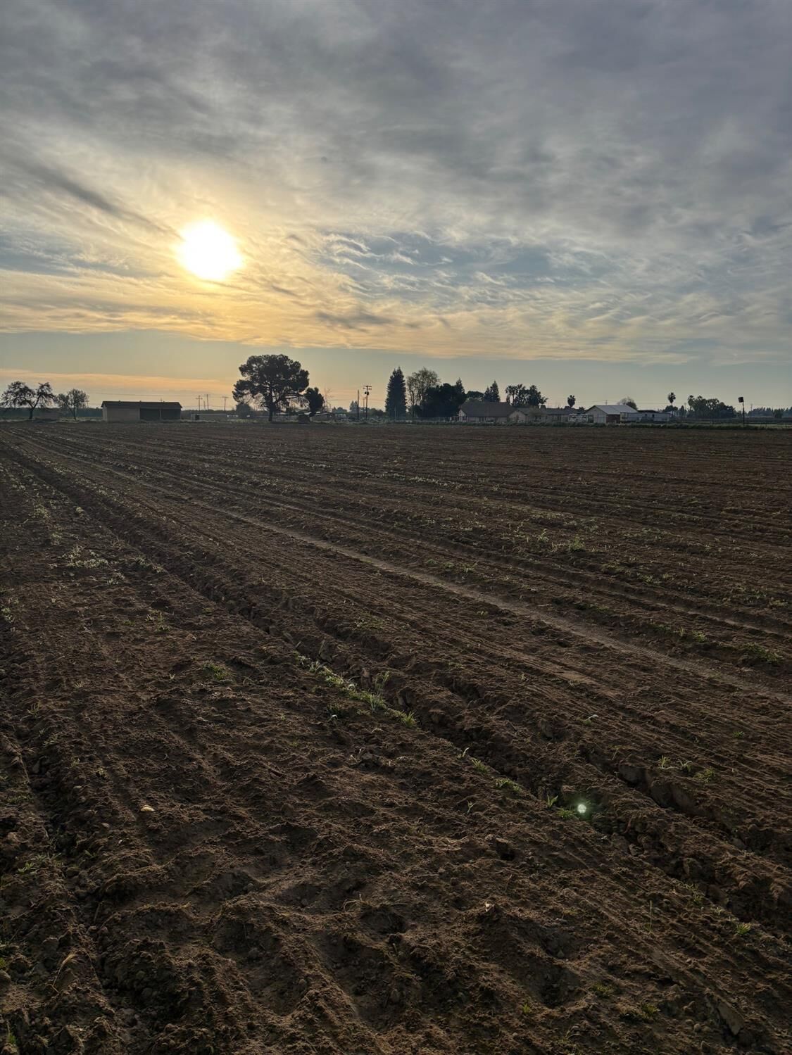 Property Photo:  9449 S McCall Avenue  CA 93662 