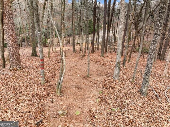 Property Photo:  6650 Lake Run Drive  GA 30542 