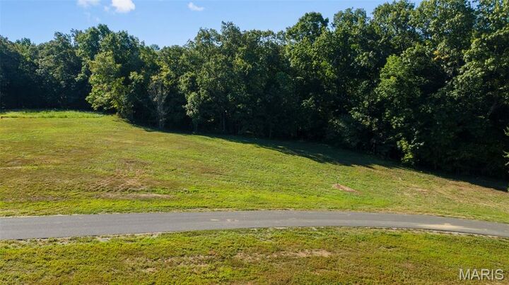 Property Photo: 0 Old Wagon (Lots 175-176) Trail MO 63755