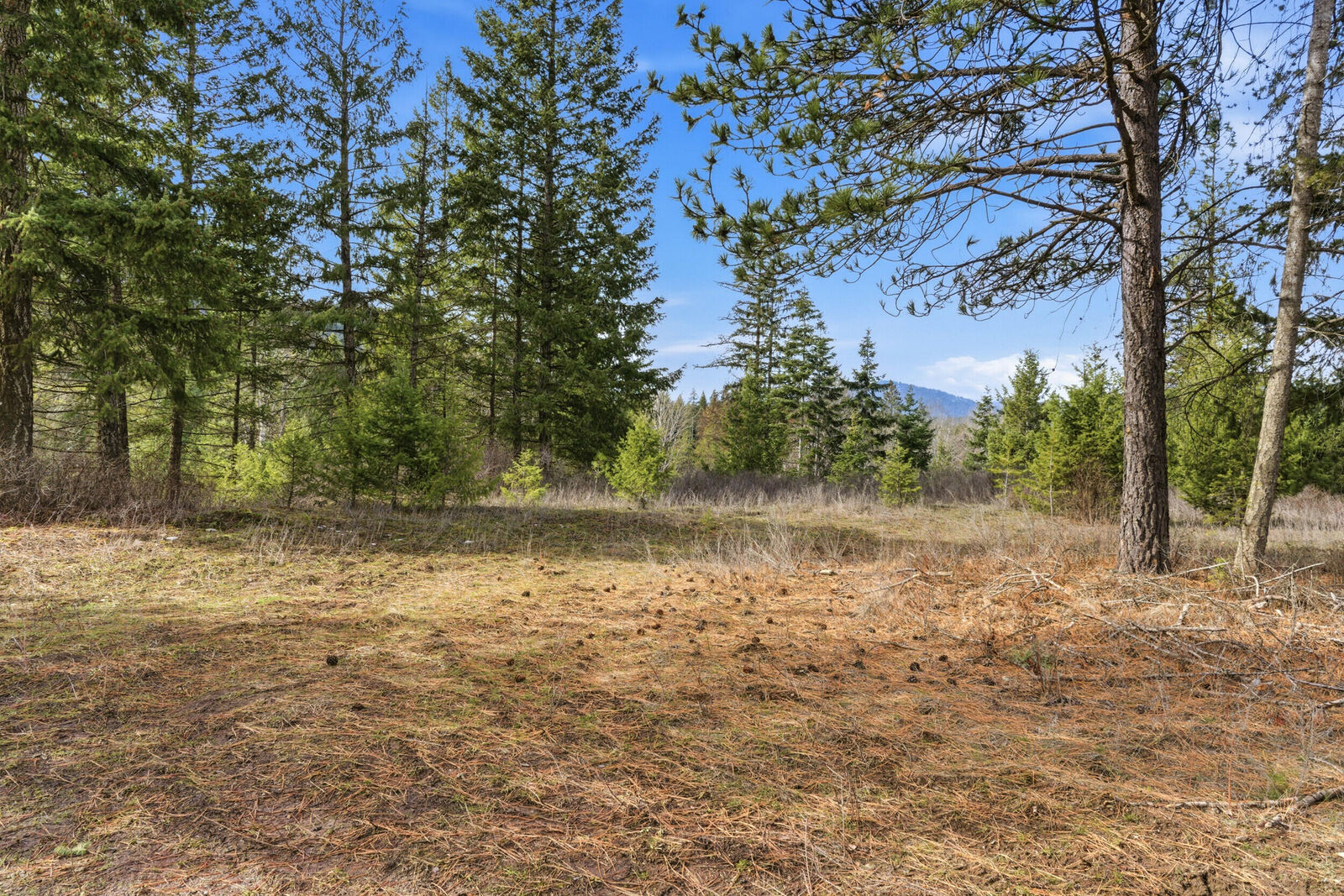 Property Photo:  2845 Burnt Valley (18.5ac) Rd  WA 99109 