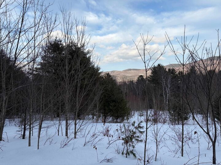 Property Photo:  00 Fuller Hill Road  VT 05674 
