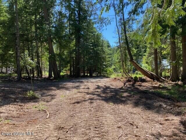Property Photo: Lots 35 &Amp 36 Dolly Vardon ID 83803