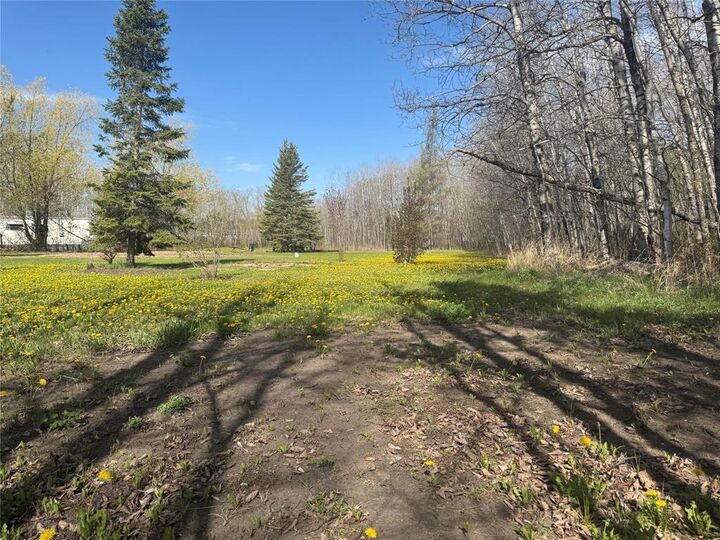 Photo de la propriété:  20 Brookdale Road  MB R0E 1A0 