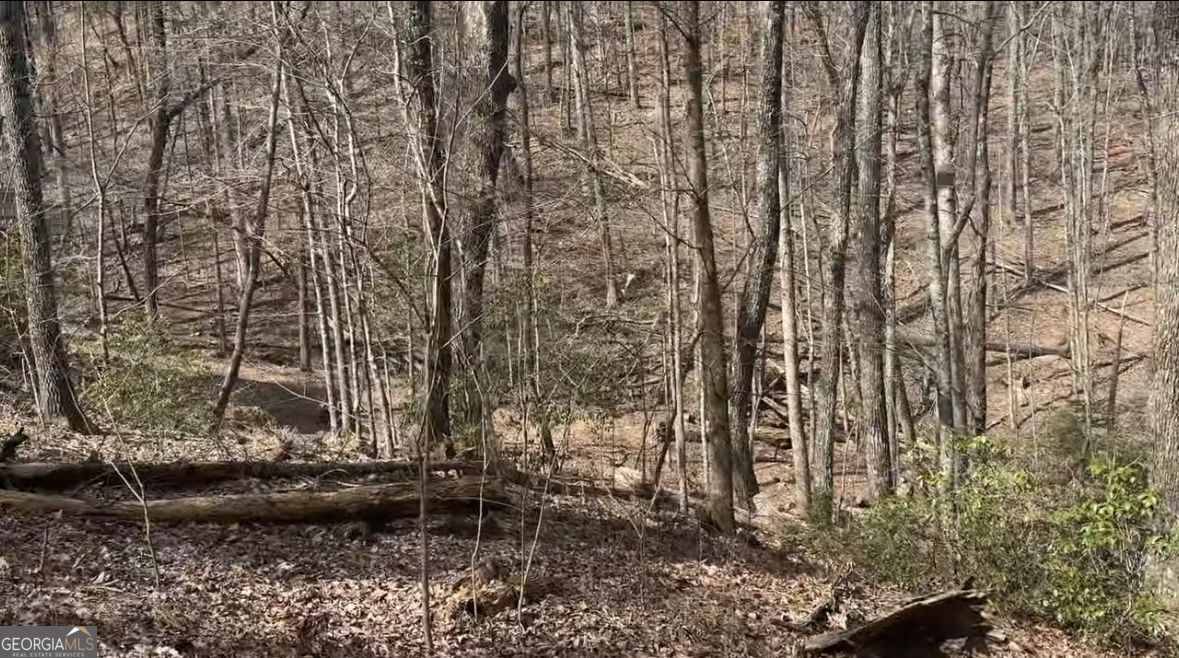 Property Photo:  0 Valley View Drive  GA 30143 