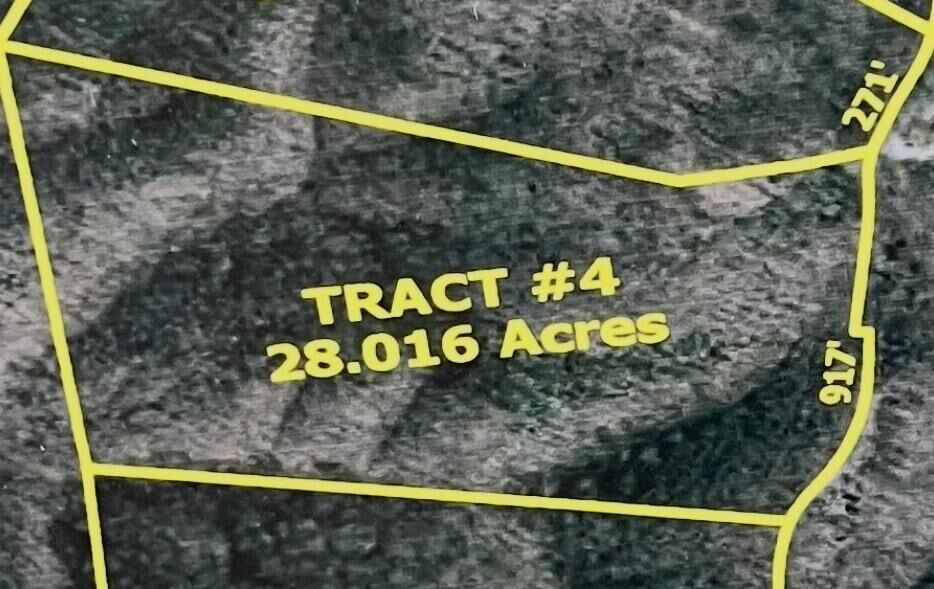 Property Photo:  4 Malone Ridge Road 4  KY 42602 