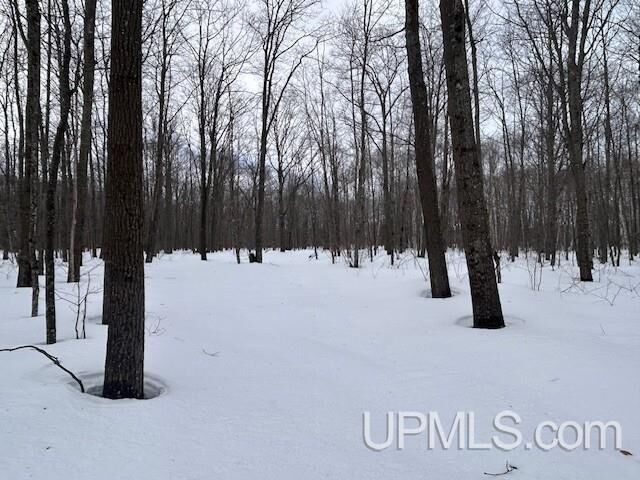 Property Photo: 53554 N N Superior Road MI 49931