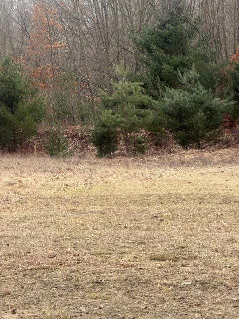 Property Photo:  0 W 100th Street  MI 49327 