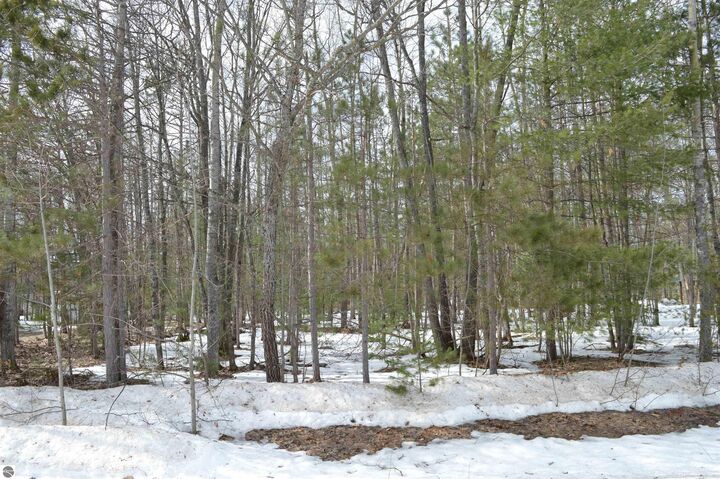 Property Photo:  1949 Fairways Drive  MI 49646 