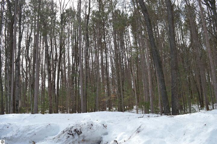 Property Photo: 773 Golf Side Drive MI 49646