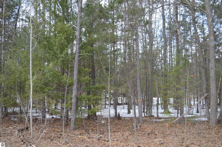 Property Photo:  1971 Bunker Drive  MI 49646 