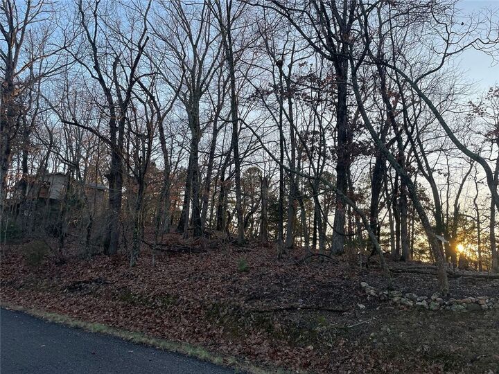 Property Photo:  31 Burkimo Lane  AR 72631 