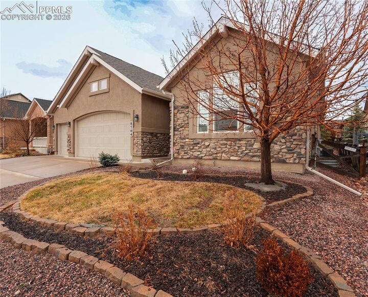 Property Photo:  8704 Meadow Tree Trail  CO 80927 