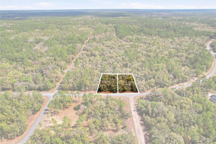 Property Photo:  8969 N Alameda Drive  FL 34434 