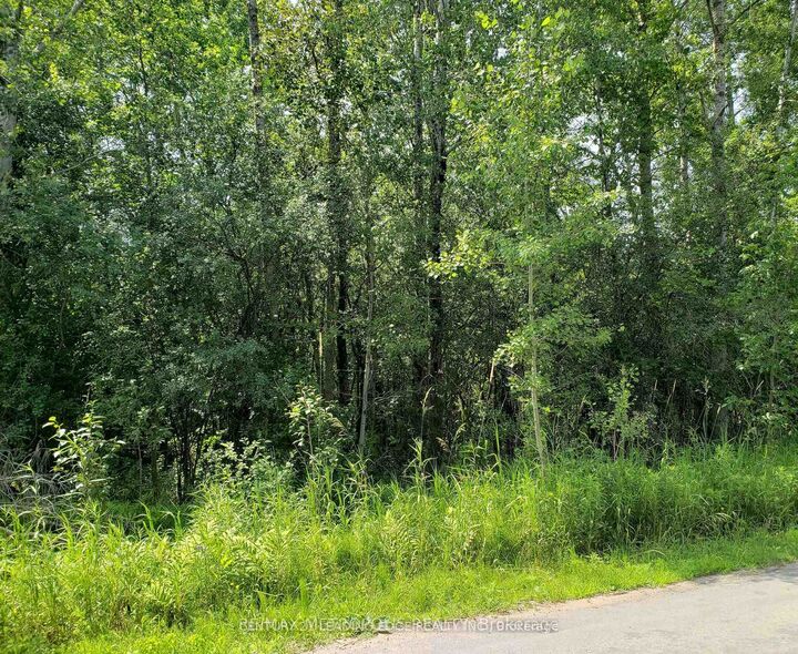 Property Photo: 32 Nicholson Drive ON L9P 1R2