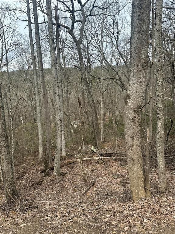 Property Photo: 0 Mulberry Court GA 30143