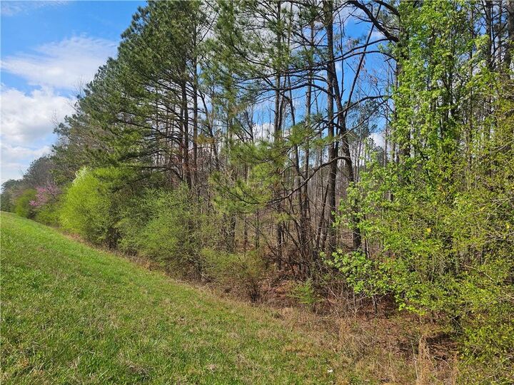 Property Photo:  000 Alabama Highway  GA 30165 