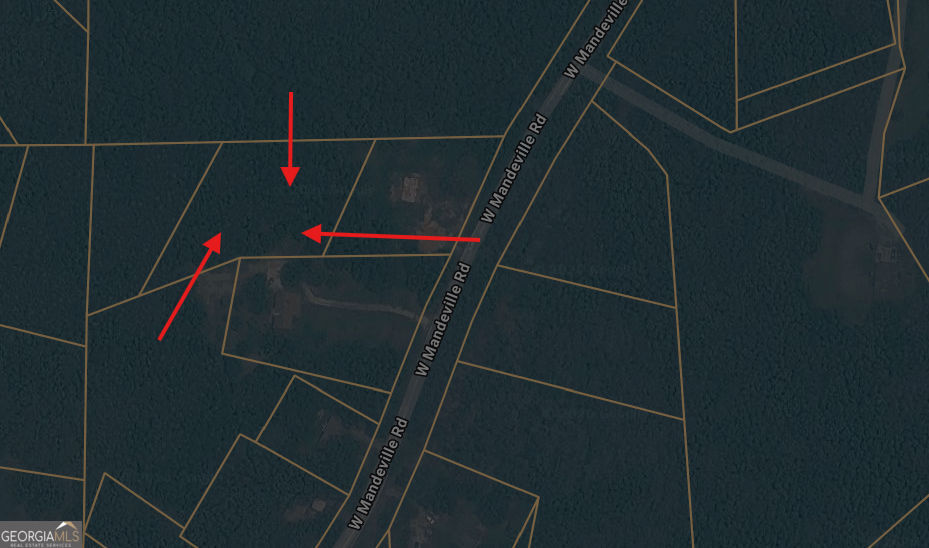 Property Photo:  0 West Mandeville Road  GA 30117 