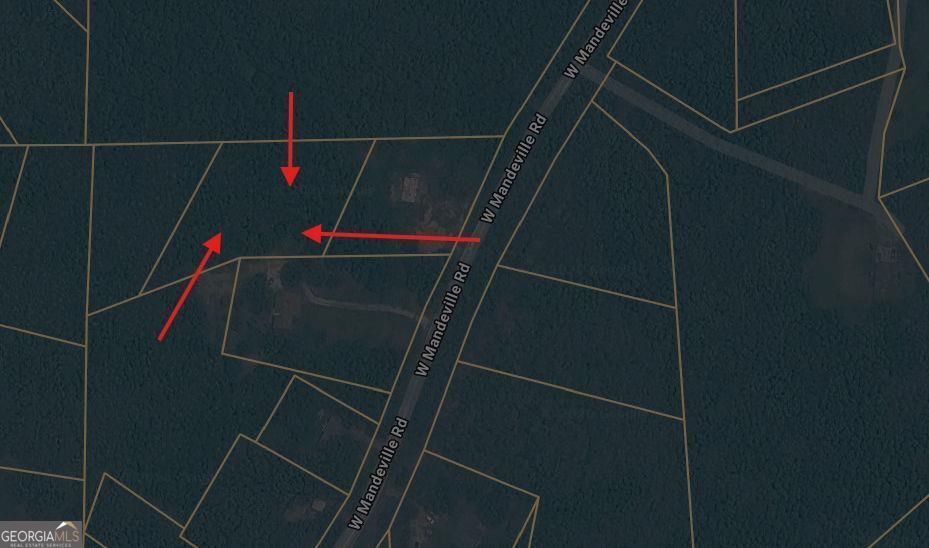 Property Photo: 0 West Mandeville Road GA 30117