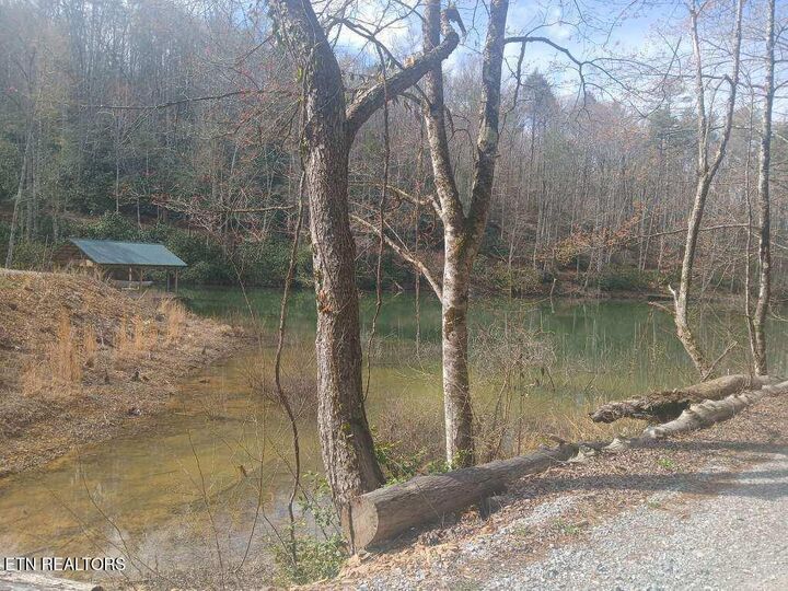 Property Photo:  Waters End Rd  TN 37886 