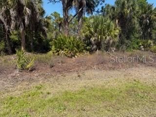 Property Photo:  26232 Deer Road  FL 33955 