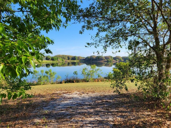 Property Photo:  36717 Barrington Drive  FL 32736 