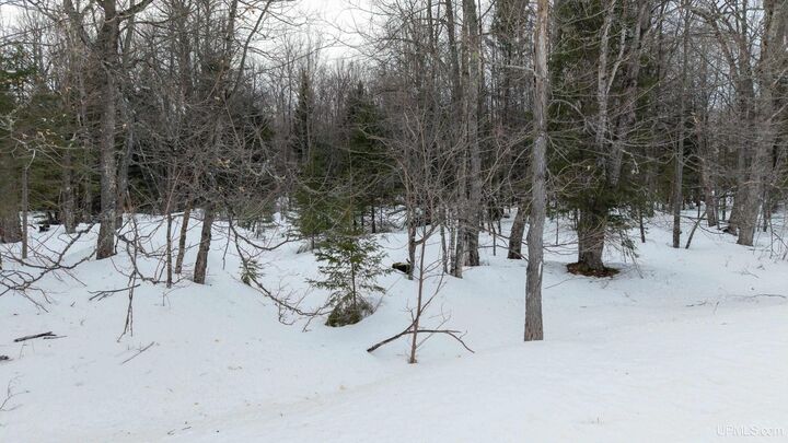 Property Photo: Tbd Co Rd Ri Road MI 49880-0000