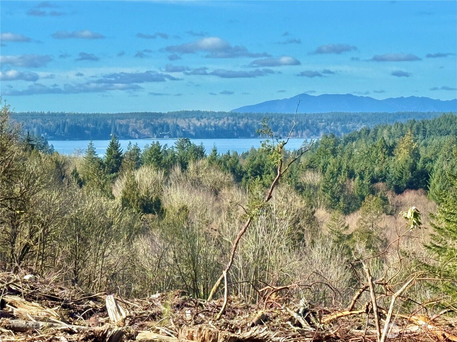 Property Photo:  4319  183rd Avenue Ct SW  WA 98351 