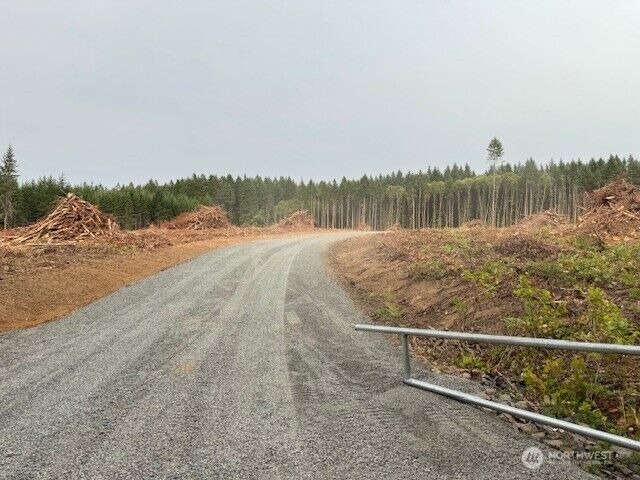 Property Photo: 118 Woodberry Lane WA 98596