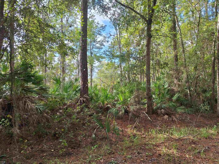 Property Photo:  201 Pineway West Ave  FL 32189 