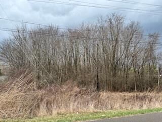 Property Photo: 0 Cattail Road OH 45601