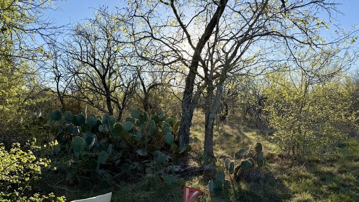 Property Photo: 1250 Spanish Oaks Boulevard TX 78644