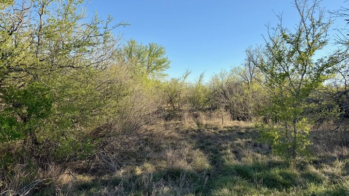 Property Photo:  14 Spanish Oaks Boulevard  TX 78644 