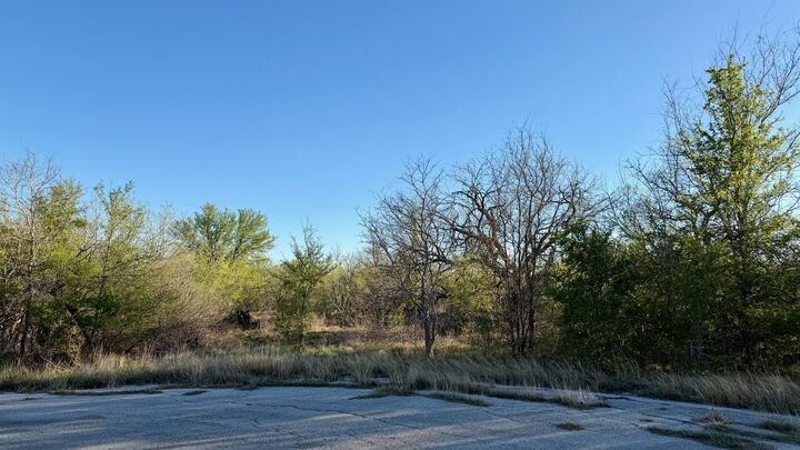 Property Photo:  14 Spanish Oaks Boulevard  TX 78644 