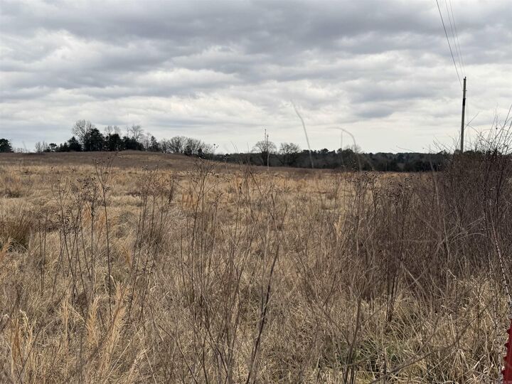 Property Photo:  000 County Road 3335  AR 72830 