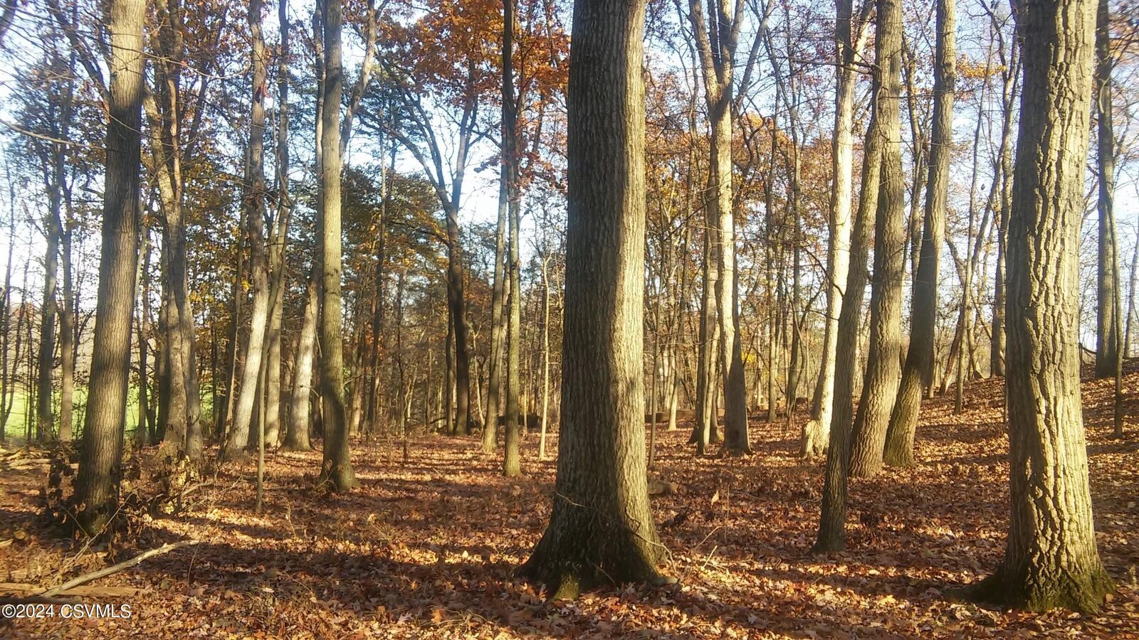 Property Photo:  Lot 4 Milroy Road  PA 17856 