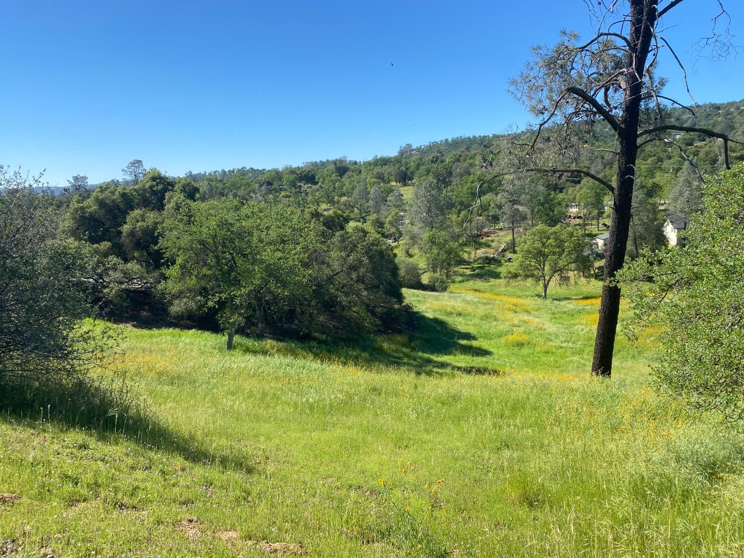 Property Photo:  17 Titan Way  CA 93614 