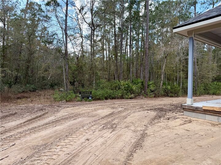 Property Photo:  234 Marina Isle Drive  GA 31569 