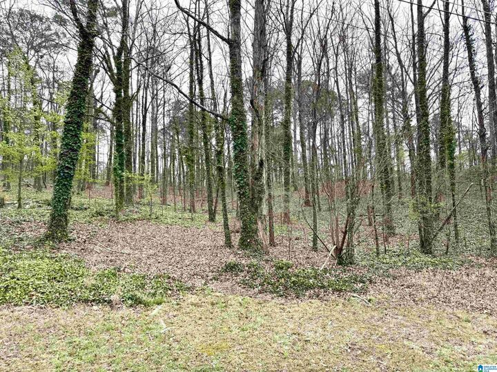 Property Photo:  2615 3rd Street 27  AL 35215 