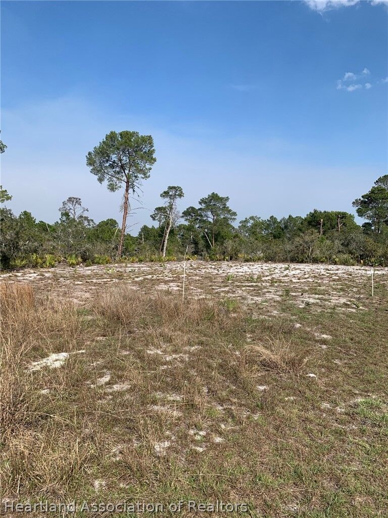 Property Photo:  1249 Popinjay Avenue  FL 33852 