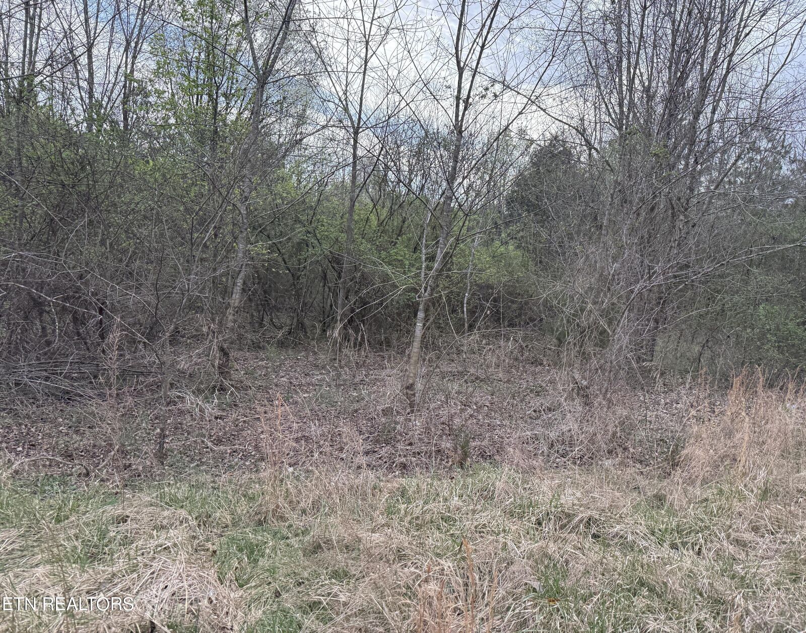 Property Photo: 158 Foxwood Drive Lot 7 TN 37763