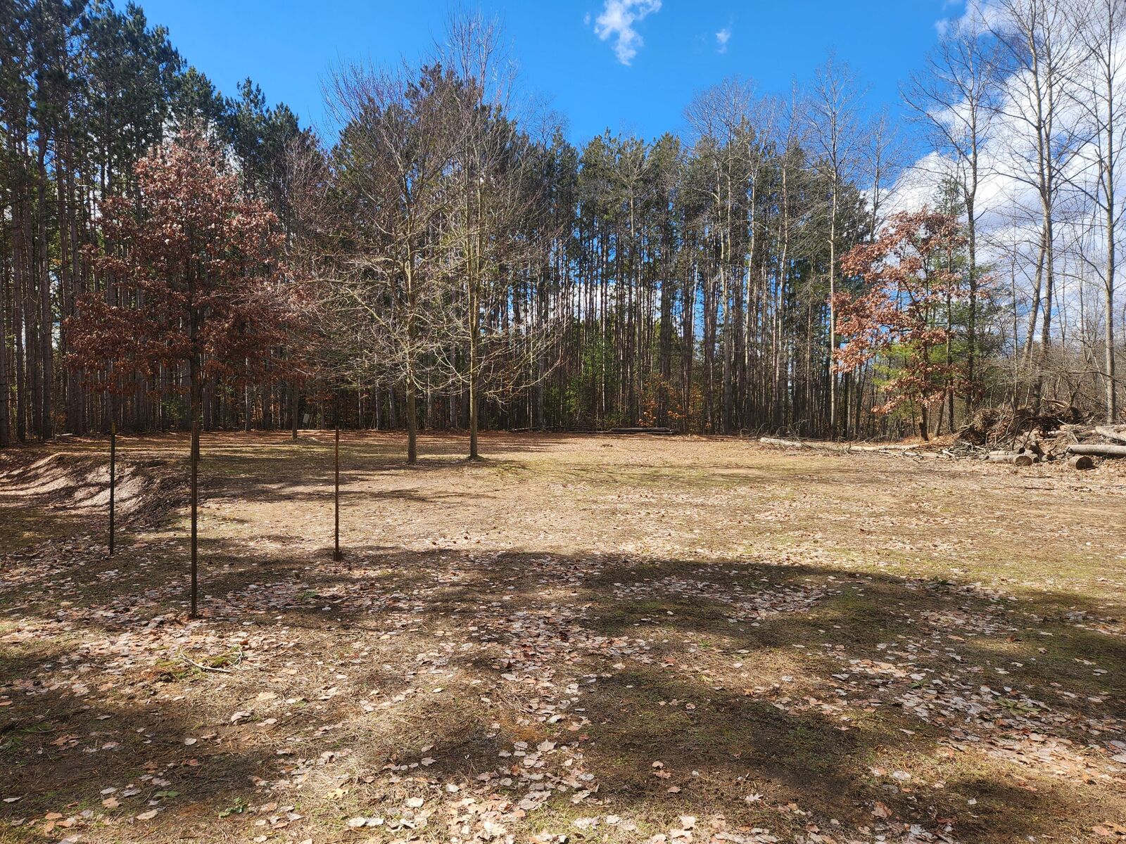 Property Photo:  8 Mile Road  MI 49346 